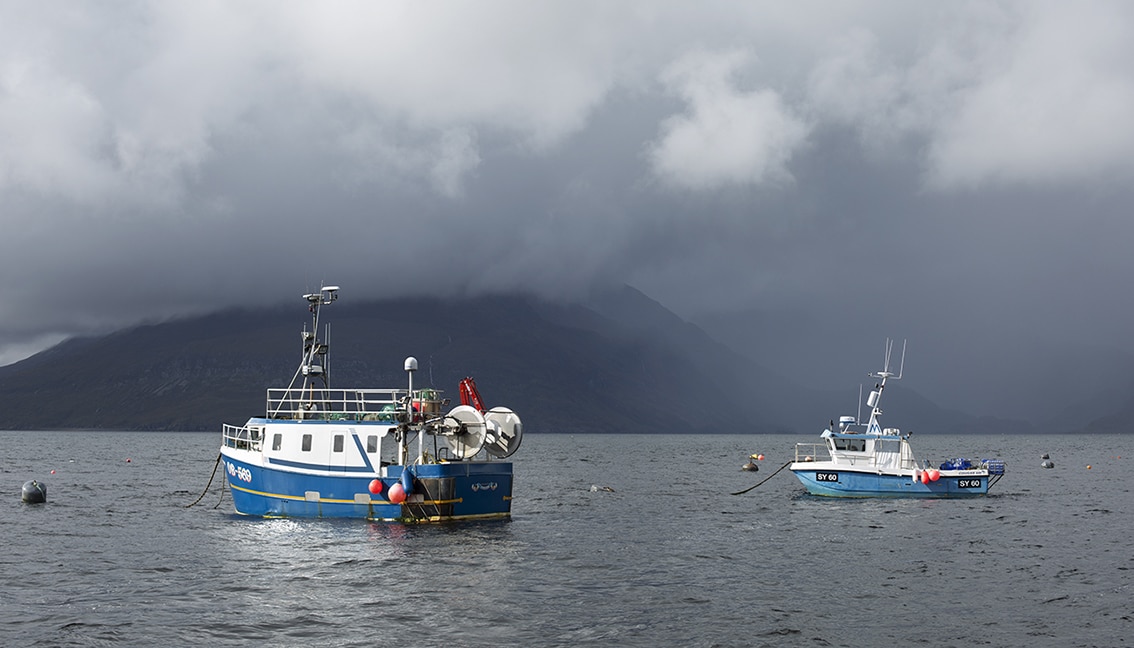 Fishing boats in harbour at Skye