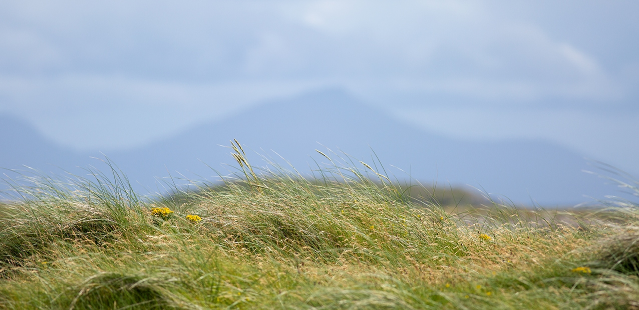 Machair in the Outer Hebrides