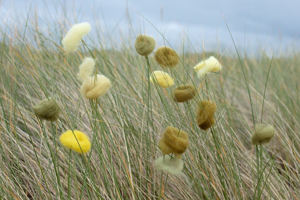 Natural dye experimentation by Alice Starmore using plants and lichens from the Outer Hebrides