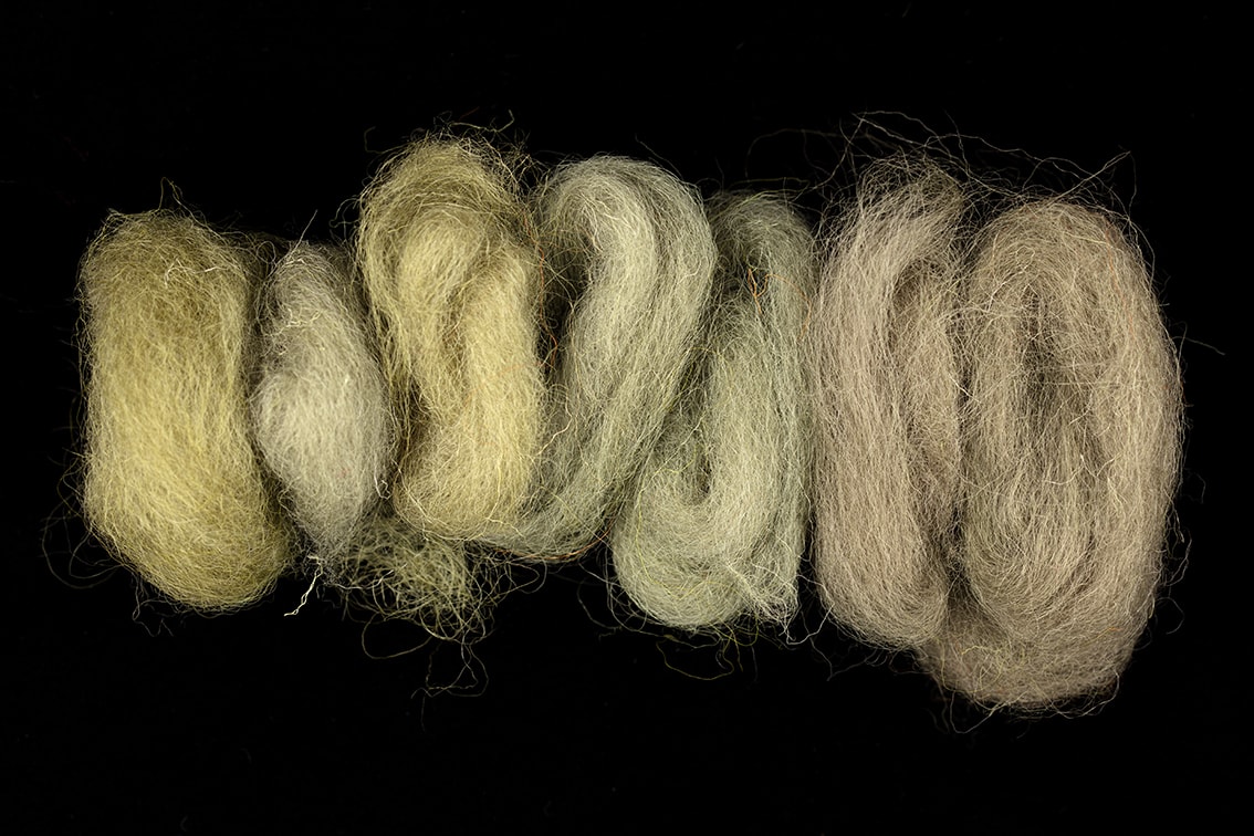 Natural dye experimentation by Alice Starmore using plants and lichens from the Outer Hebrides Natural dye experimentation by Alice Starmore using plants and lichens from the Outer Hebrides