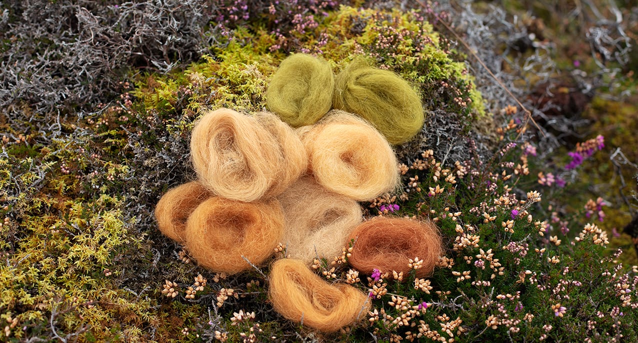 Natural dye experimentation by Alice Starmore using plants and lichens from the Outer Hebrides