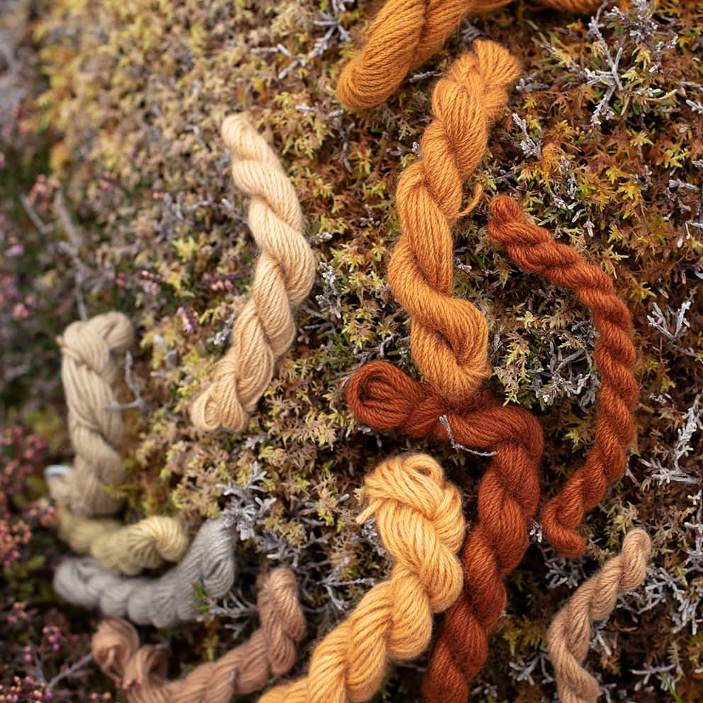 Natural dye experimentation by Alice Starmore using plants and lichens of the Outer Hebrides