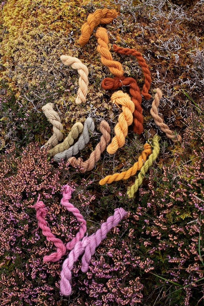 Natural dye experimentation by Alice Starmore using plants and lichens from the Outer Hebrides