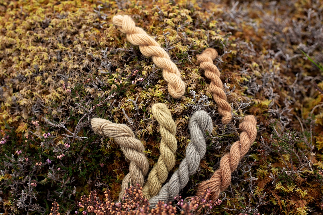 Natural dye experimentation by Alice Starmore using plants and lichens from the Outer Hebrides