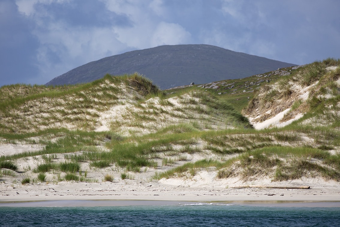 Lewis Shoreline Lewis Shoreline