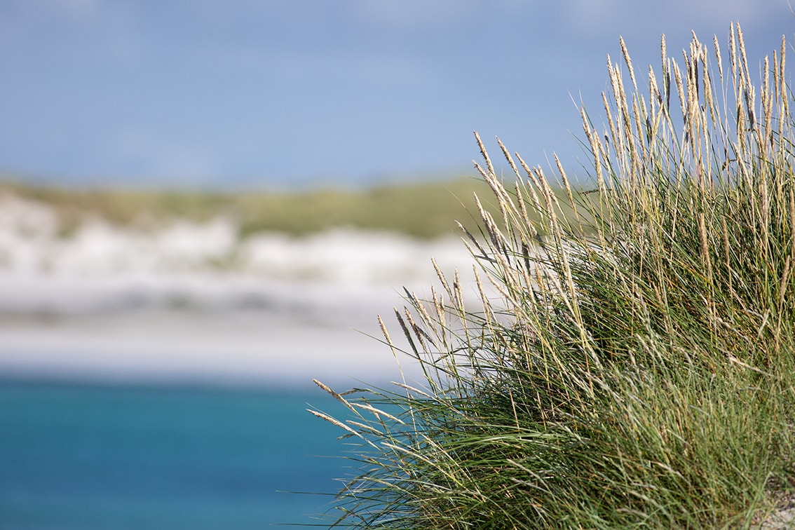 Machair in the Outer Hebrides