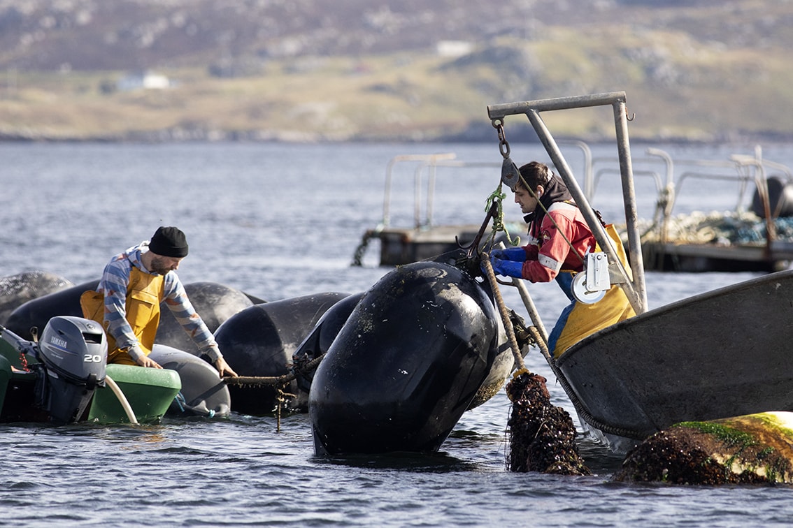 Fishermen working on the coast of the Isle of Lewis