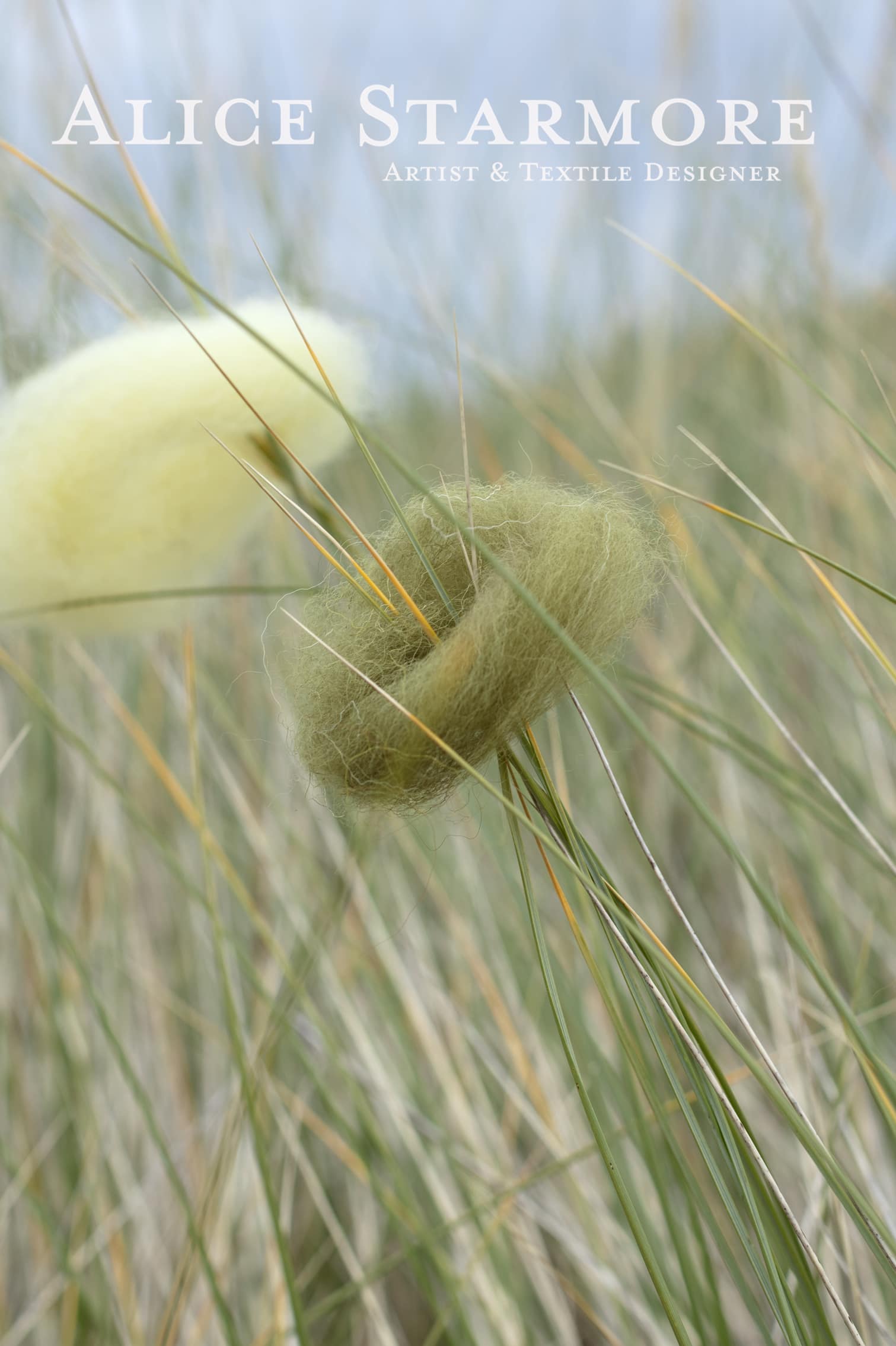 Natural dye experiements by Alice Starmore using plants and lichens from the Outer Hebrides