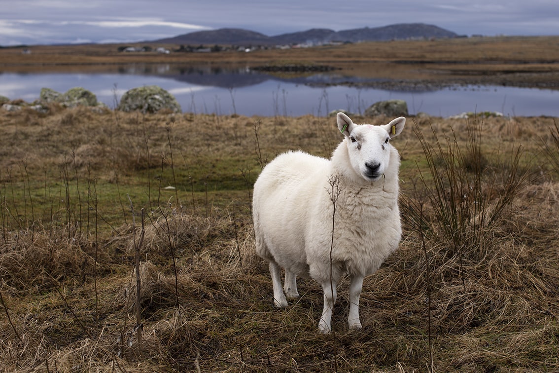 Landscape Photography by Jade Starmore