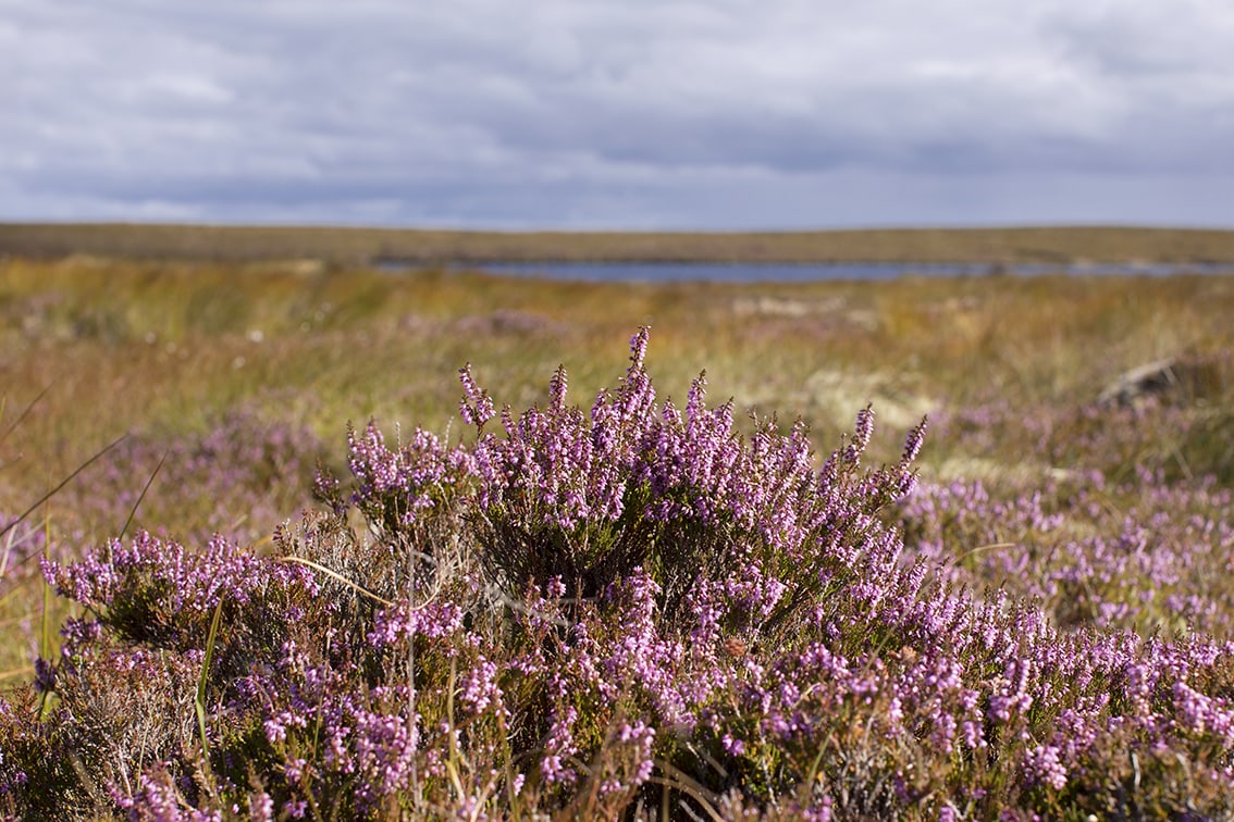 Landscape Photography by Jade Starmore