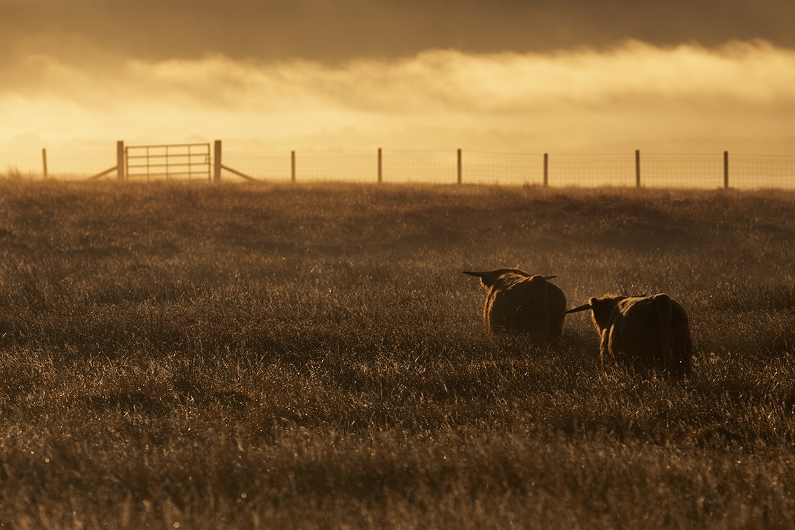 Landscape Photography by Jade Starmore