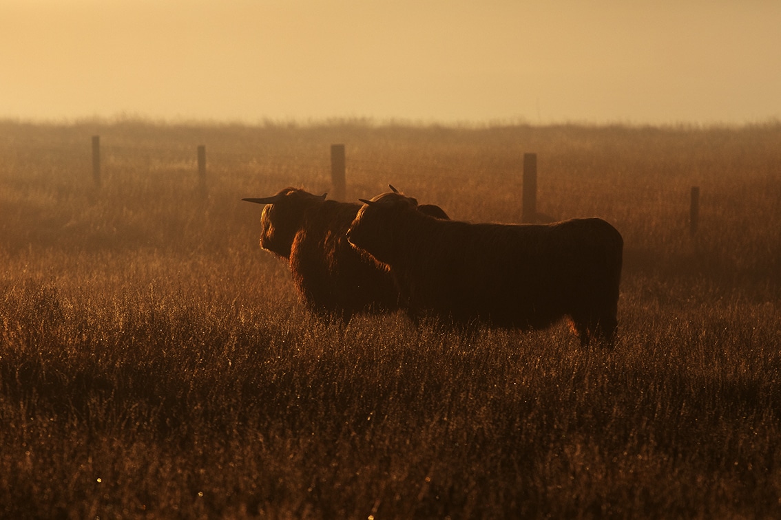 Landscape Photography by Jade Starmore