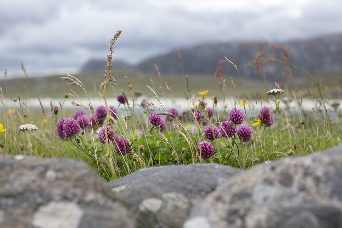 Landscape Photography by Jade Starmore