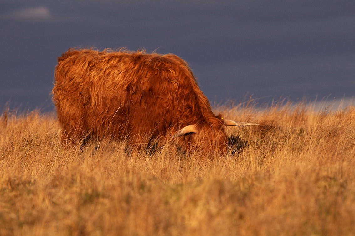 Landscape Photography by Jade Starmore